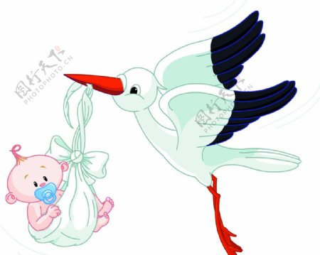 送子鹤与婴儿图片
