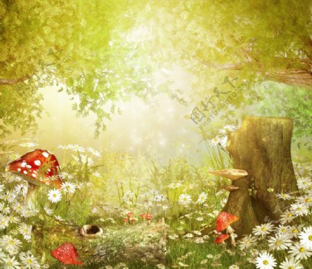 童话世界蘑菇丛林野菊花图片