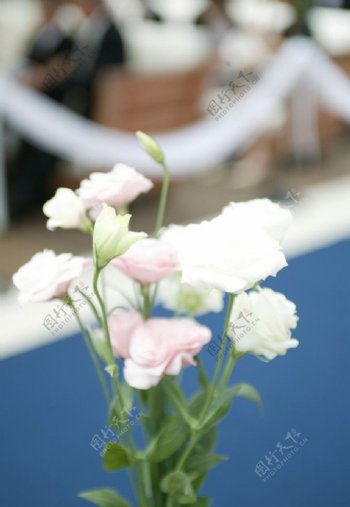 婚礼花束图片