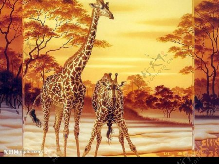 精美奇妙的动物画母鹿与小鹿图片