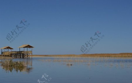 内蒙古居延海图片