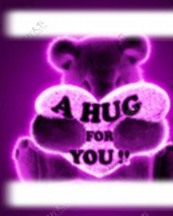 紫色抱抱熊图片