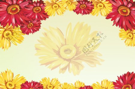 菊花背景墙图片