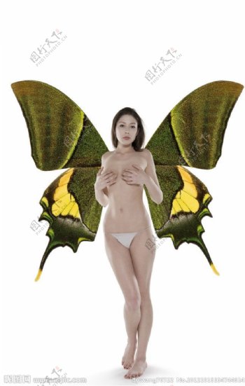 蝴蝶女人图片
