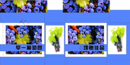 葡萄水果包装设计图片