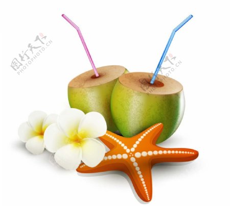 椰子椰汁图片