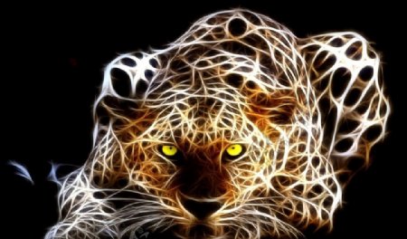 豹子光线图片