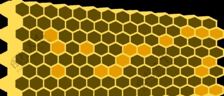 蜜蜂巢图片