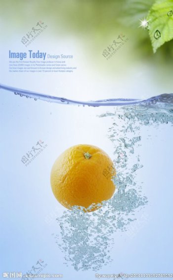 落水橙子图片