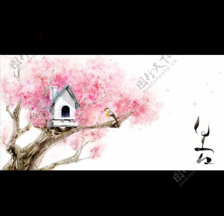 樱花树小鸟房子图片