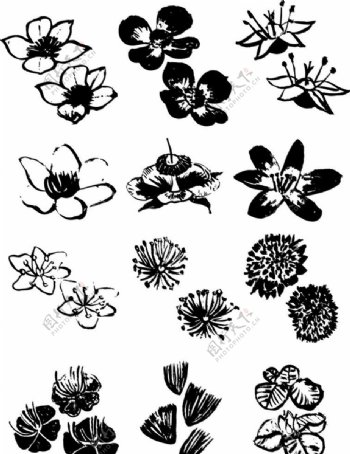 黑白矢量花卉图片