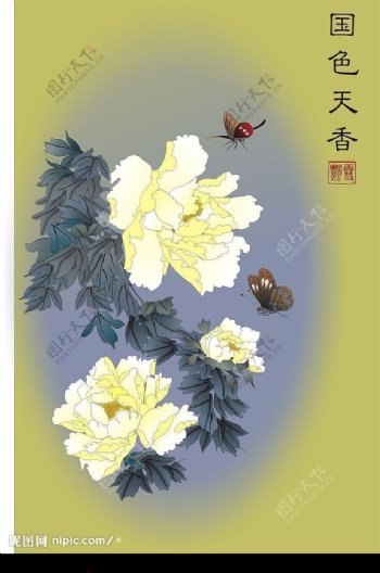 国色天香牡丹花与蝴蝶图片