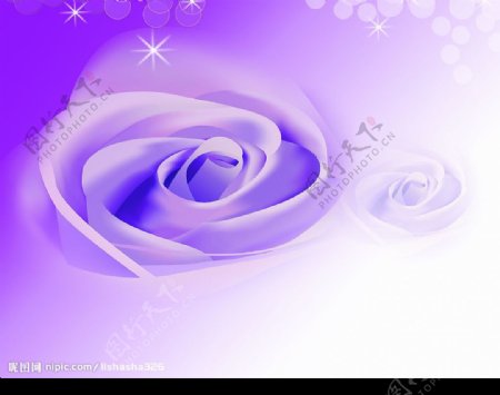 紫色玫瑰泡泡图片