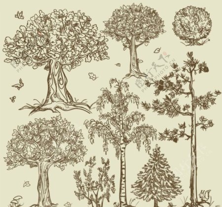 素描树木图片