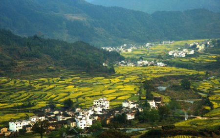 婺源风景图片