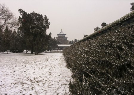 天坛冬景图片