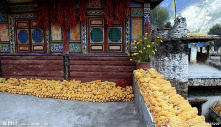 多彩的藏寨图片