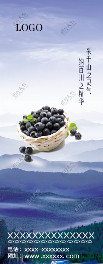 蓝莓易拉宝图片