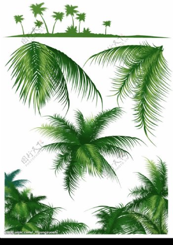 椰子树植物系列矢量素材图片