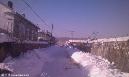 冬日积雪摄影图片
