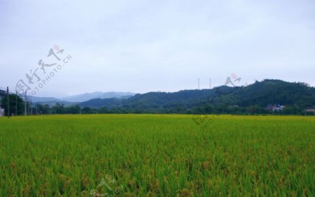 田园风光乡村山水图片