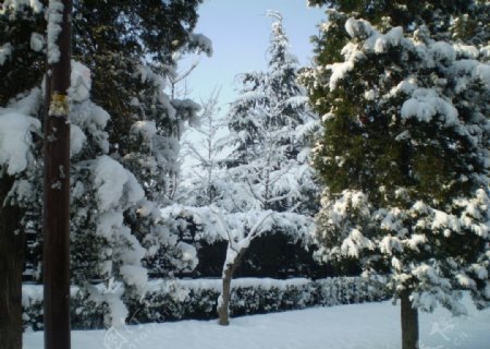 城市雪景图片