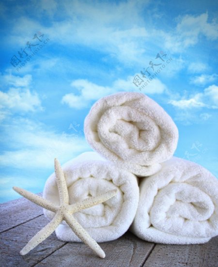 木板海星毛巾图片