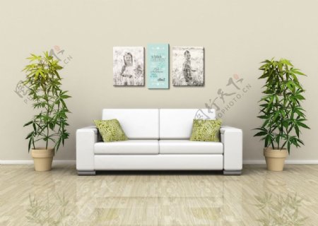 室内沙发植物效果图片
