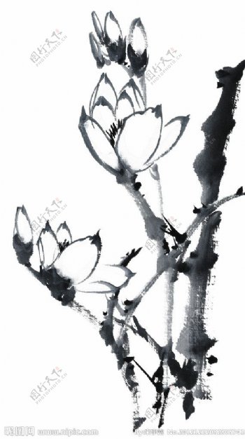 PSD分层素材透明背景中国画水墨植物图片