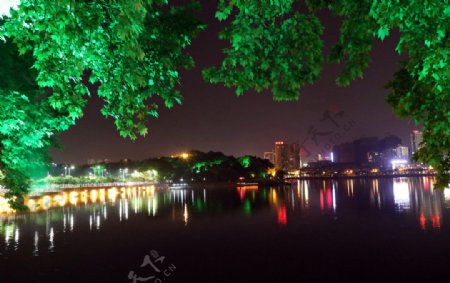 九江南湖夜景图片