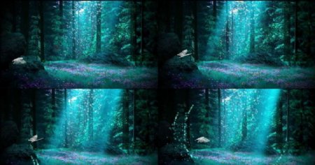 森林蓝色光线动态视频