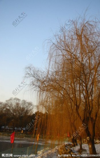 圆明园之冬图片