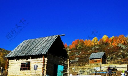 新疆牧区小木屋图片