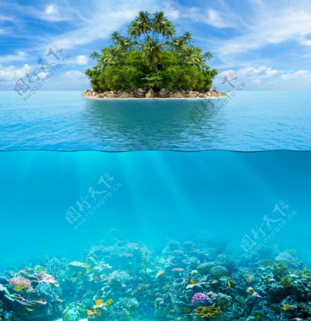 海底世界热带小岛图片