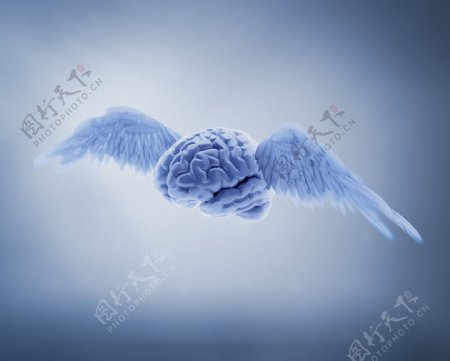 飞翔的大脑图片