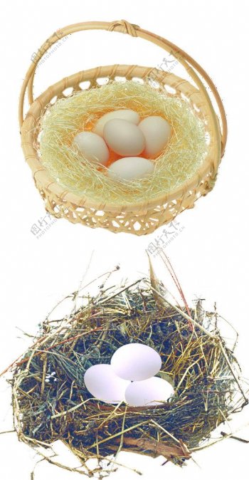 鸡蛋篮图片