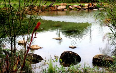 原生态水池图片