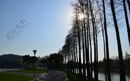 上海佘山月湖雕塑公园图片