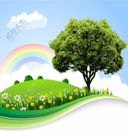 树木彩虹图片