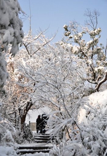 宝石山雪景图片