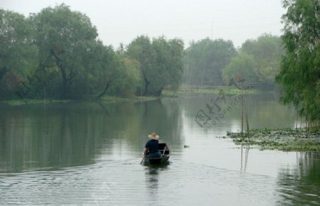 水乡的早晨图片