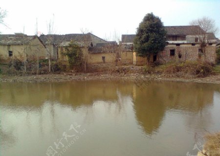 水塘边的村庄图片