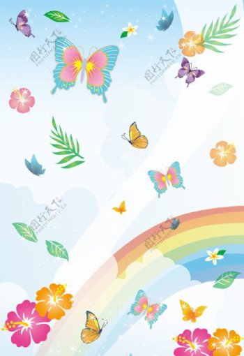 蝴蝶和花的交响曲图片
