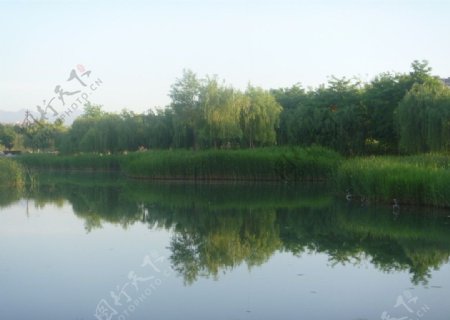 湖边水景图片