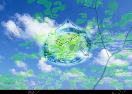 天空树叶水滴图片