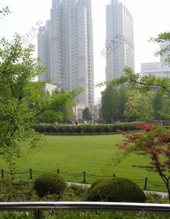 上海延中绿地绿化图片