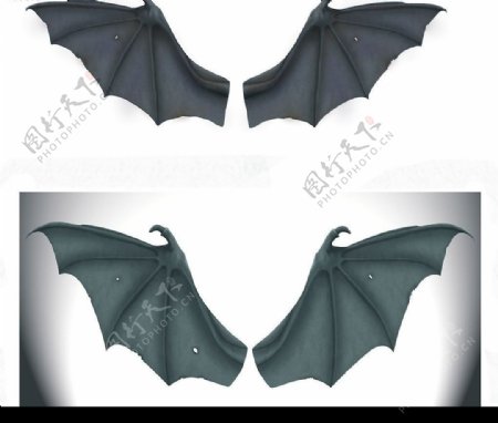 2款蝙蝠翅膀psd分层素材图片