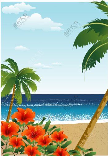 波光粼粼的海面沙滩边盛开的扶桑花朵朵盛开图片