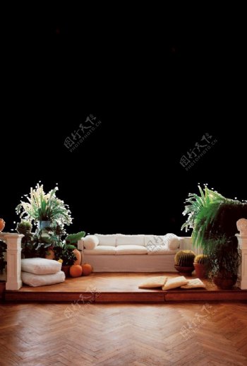 用于室内设计的沙发盆栽等图片