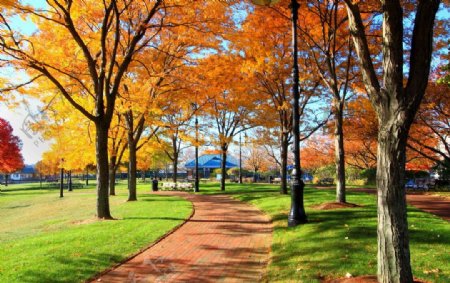 波士顿公园图片